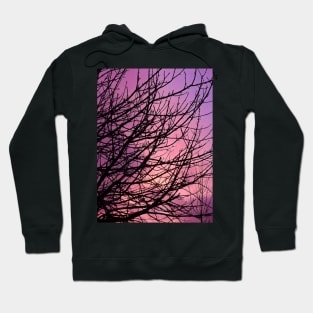 Purple Sky Hoodie